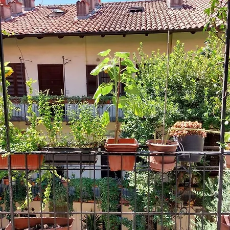 Naviglio House Homestay